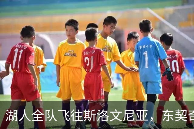 湖人全队飞往斯洛文尼亚，东契奇召集4天迷你训练营